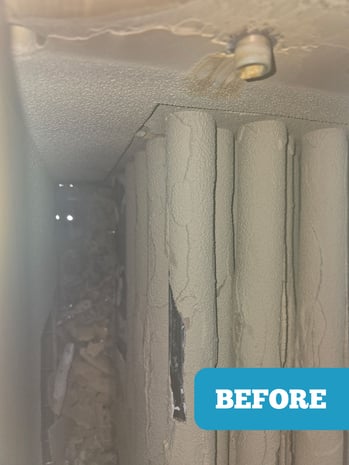 DriSteem Humidifier Descaling - Before