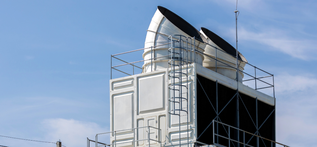 wmc - website photos (1)