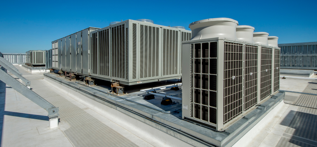 wmc - website photos (8)