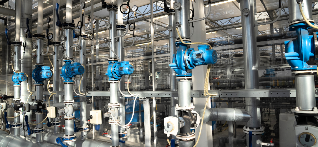 wmc - website photos